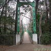 砧公園の橋♪（世田谷区砧公園）