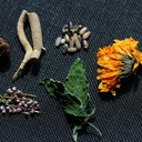 Herbal Healing 薬草芳香植物紹介ブログ