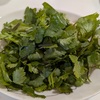 庭に生えているパクチーっぽい草を食べてみる