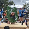 英賀神社獅子舞保存会の動画を、YouTubeにアップし始めました。想定外で録画して、ええ刺激。