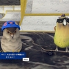 【ゲーム】SkateBIRDのRTAのカデコリ分けについての話