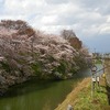 東日本大震災後の宮城県、山形県の子宝の不妊漢方相談で