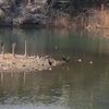 金沢区長浜公園