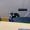 まろにー1992日目