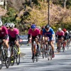 神宮クリテ2024 内田