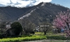 安曇野桜百景　光城山