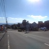 今朝の伊豆大室高原です