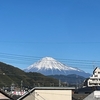 静岡でも雪、とても寒かったですね。