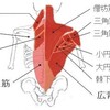 🍀💓OT上野講座③　発達障害　体幹（姿勢）について🍀🌸（背筋編🍖）　　　　　　　　　　　　　　　　　　　　#ひたちなか市　#リハビリ強化型　#ハッピースマイル　#児童発達支援　#放課後デイサービス　#保育園等訪問支援事業　#発達障害