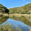 あそうベイパーク 自然観察の池（長崎県対馬）