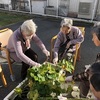 芋掘り🍠