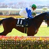 愛馬観戦記　【シベール　4歳上1勝クラス】