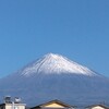 22日目　朝の微笑ましい出来事