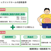 【メタボリックシンドローム】は、生活習慣病の出発点だぁぁ(>_<)