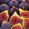 Buy Figs From Fig Distributors Online And Enjoy Its Health Benefits