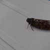 季節は秋の始まりに