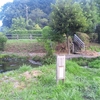 鶴見川源流の泉