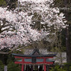 岩戸落葉神社