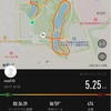 5kmラン