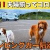 北海道車中泊旅「緊急事態！旅の空の下、夫婦でダウン。モニバズ号の籠城生活」の巻【2025 VLOG #22】（2025/08/04-10）