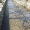 春うららですね。