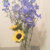 flower♡青い綺麗なお花を買いました☺︎
