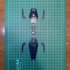 デカール貼り９　SHIELD　＃５２