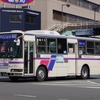 徳島バス 495
