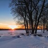 明日は鹿児島でも大雪なので、できることはやっておこう