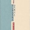 井筒俊彦『コスモスとアンチコスモス』