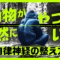 動物の知恵に学ぶ自律神経の整え方