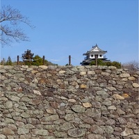 中津城　復元石垣