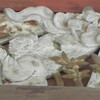 栃木市　太山寺観音堂・10　王裒