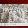 【お知らせ】あかりとり個展「森の奥深く、月の裏側」（終了しました）