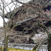 長久禅寺ー大本山南禅寺受戒