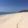 【風間担のJGC修行】14レグ目 与論～奄美大島 貸切のパラダイスビーチを堪能！