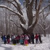 雪の森の観察会