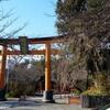 京都　山城国　【平野神社】へ