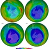 空気を知り、生存していくために 【空気】