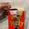 ポッキーの日にマンチカン子猫にポッキーのお裾分け！？