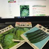 野菜の種をネットで買いました