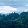 今朝の景色