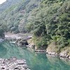 ツルギキョウ