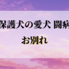 お別れのとき【愛犬闘病記⑦・終】