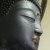 報恩寺阿弥陀如来坐像　頭部3