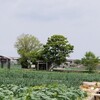 淡路島の