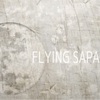 宙組『FLYING  SAPA ーフライング  サパー』感想