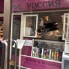 Russia【お店紹介】