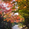 梅小路公園・朱雀の庭