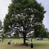  2020/10/18 平原演劇祭2020第6部 #50年芋煮演劇＠埼玉県宮代町「新しい村」芝生広場